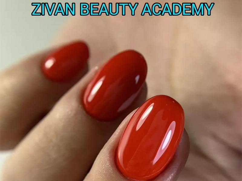 زیوان در تهران؛ تصویر 3 از فضای مجموعه و نمونه‌کارها