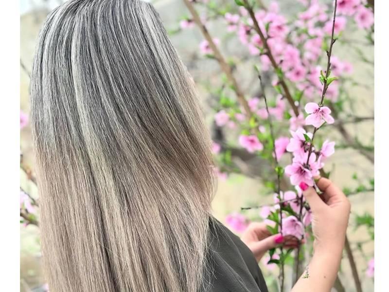 خدمات میترا جمشیدی