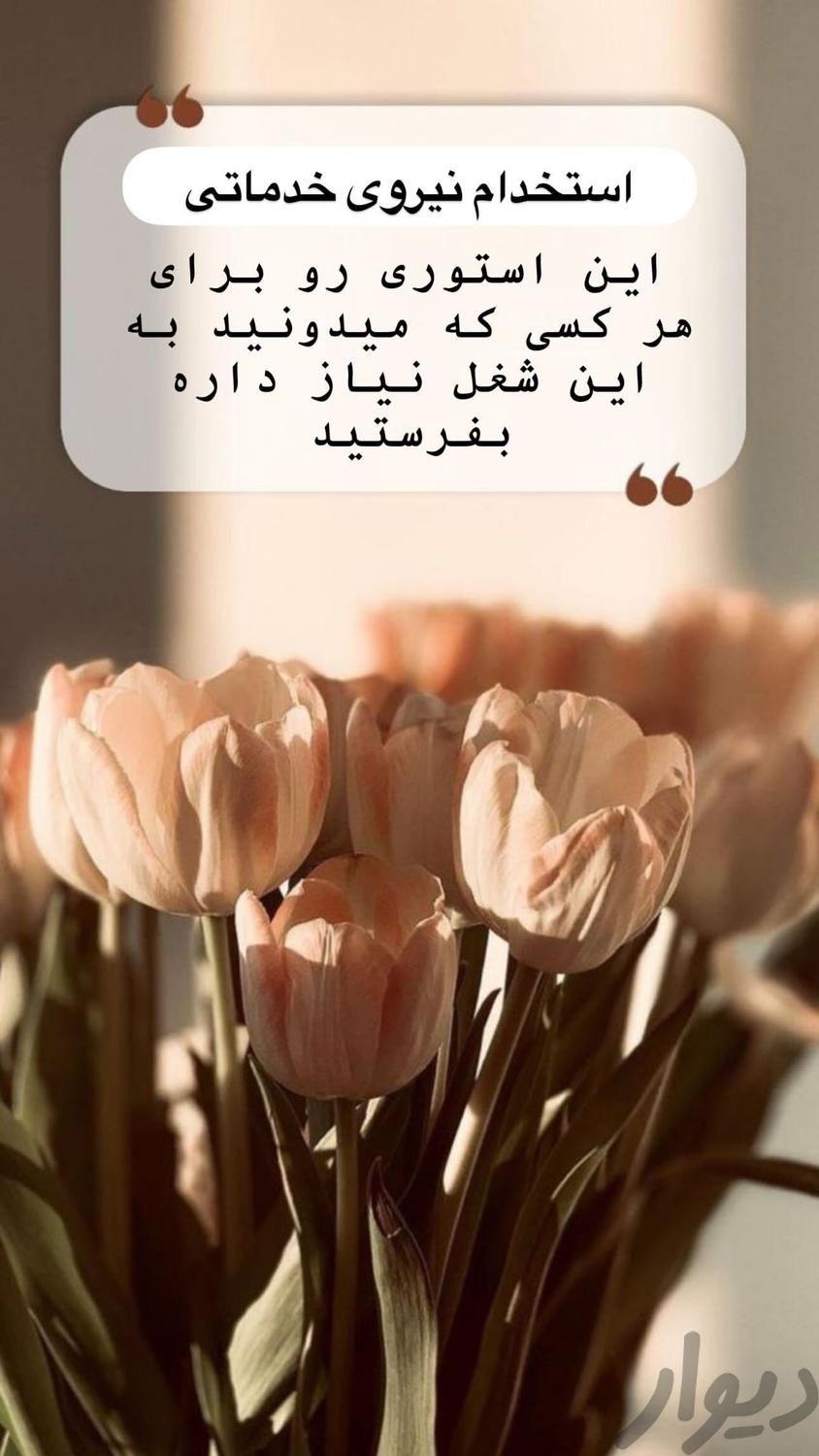 استخدام ناخن کار،مژه کار،نیروی خدماتی