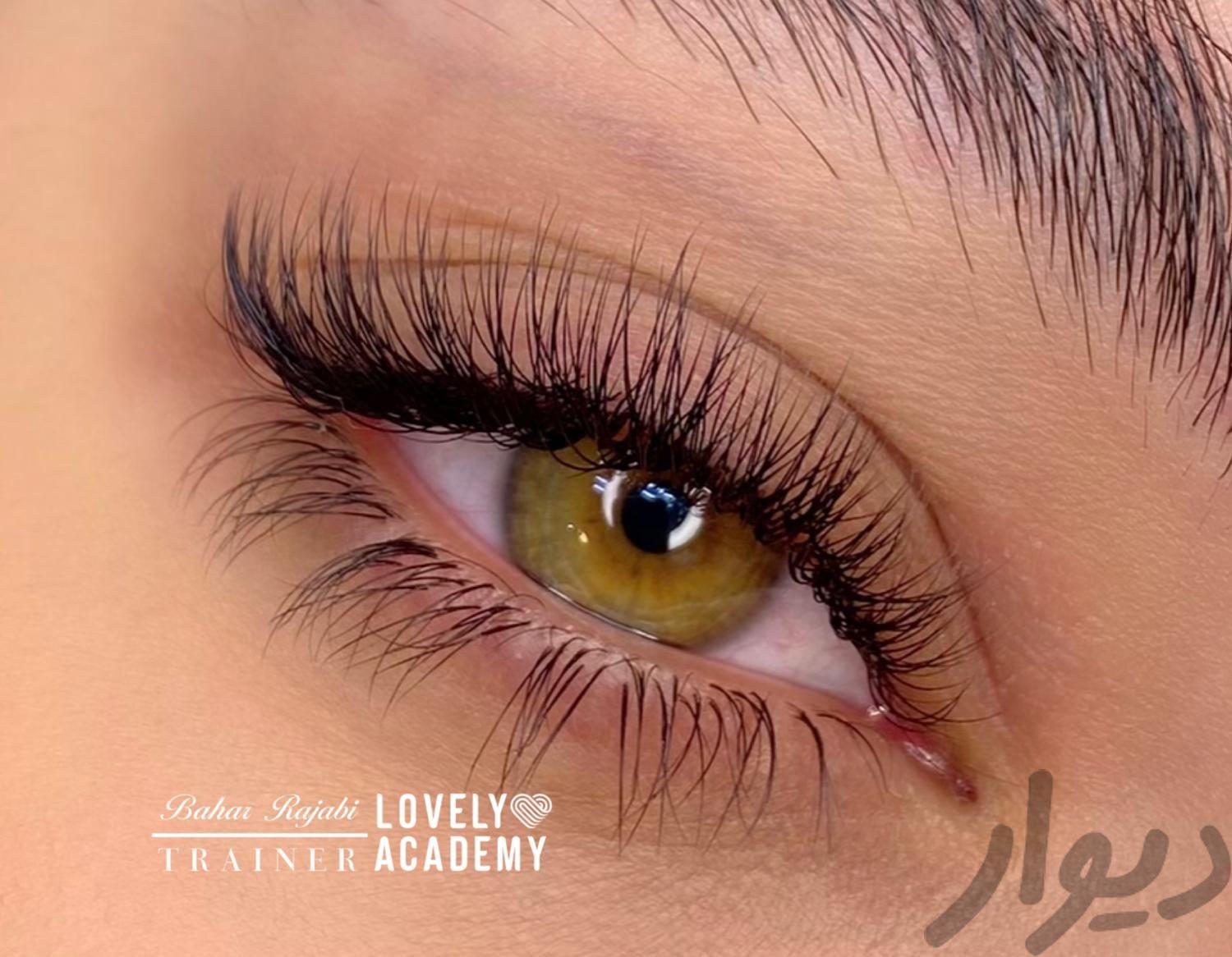 مژه کار و دستیار مژه