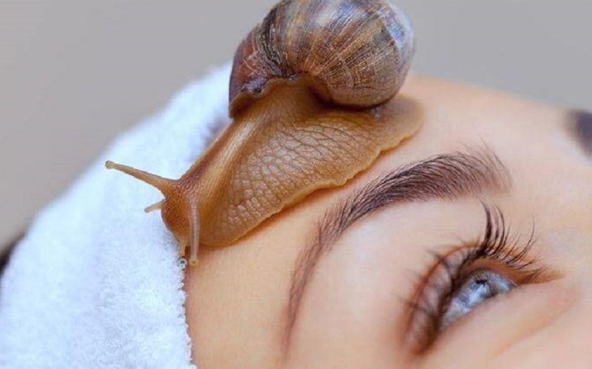 حلزون تراپی