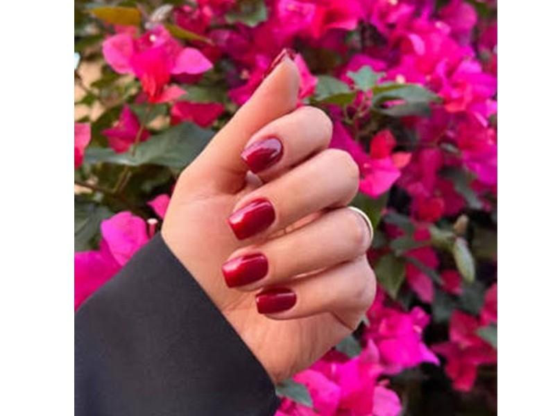 خدمات گیوا VIP (شعبه سعادت آباد)