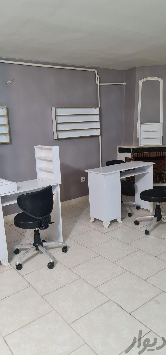 ناخنکار حرفه ایی