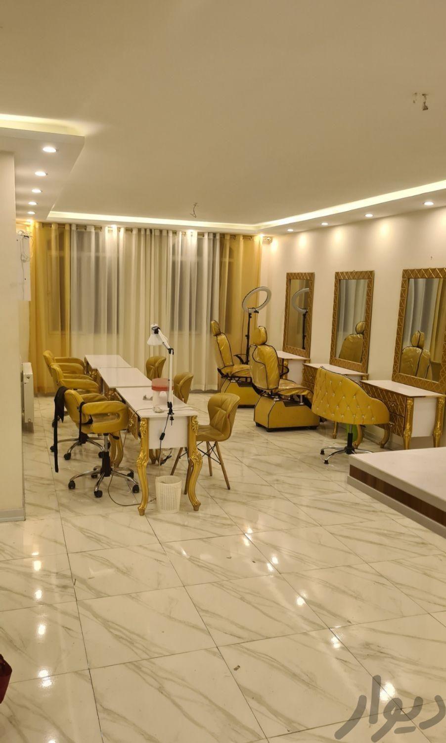 اپیلاسیونکار ، میکابکار و شینیونکار