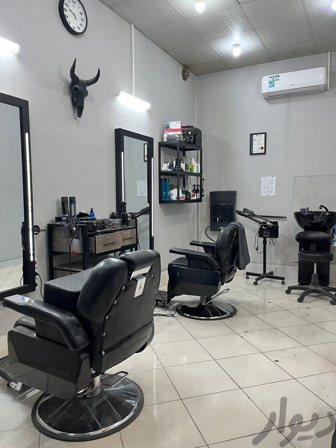 همکار آرایشگر مردانه ماهر